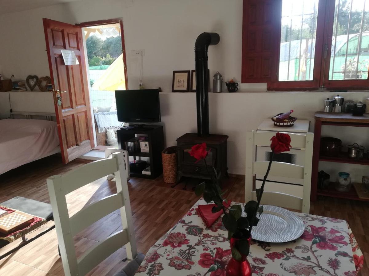Ferienwohnung Country Side Loft Valencia Exterior foto